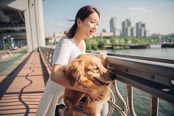 포토 JPG 주간 전신 한마리 여자 난간 안기 한명 미소 사람 20대 성인 야외 옆모습 반려동물 강 차도 한국인 보행로 골든리트리버 강아지 반려 성인여자한명만 펫팸족 국내포토 자연요소 동물 1 도로 길 뷰포인트 모션 표정 동양인 청년 개 리트리버 신조어 여자한명만 성인여자만 파일형식