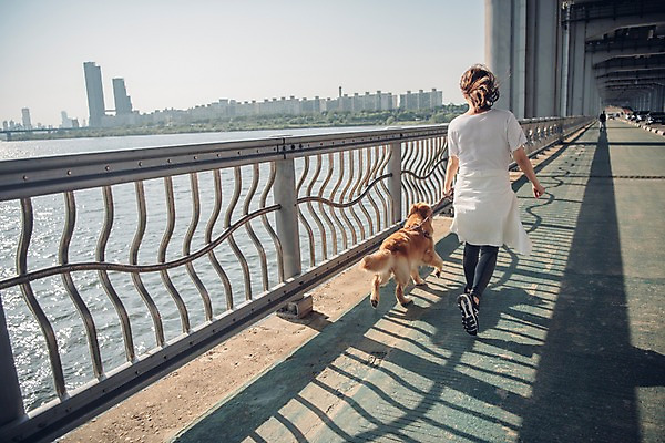 포토 JPG 주간 전신 한마리 여자 난간 한명 사람 20대 성인 야외 뒷모습 반려동물 강 운동 걷기 한국인 보행로 골든리트리버 강아지 반려 성인여자한명만 펫팸족 국내포토 자연요소 동물 1 길 뷰포인트 모션 건강 동양인 청년 개 리트리버 신조어 여자한명만 성인여자만 파일형식