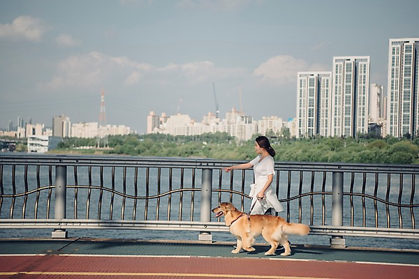 포토 JPG 주간 전신 한마리 여자 난간 한명 사람 20대 성인 야외 옆모습 반려동물 강 운동 걷기 한국인 가리킴 골든리트리버 강아지 반려 성인여자한명만 펫팸족 국내포토 자연요소 동물 1 뷰포인트 모션 건강 동양인 손짓 청년 개 리트리버 신조어 여자한명만 성인여자만 파일형식