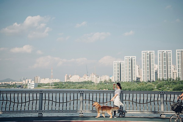 포토 JPG 주간 전신 한마리 여자 난간 한명 사람 20대 성인 야외 옆모습 반려동물 강 운동 손들기 걷기 한국인 골든리트리버 강아지 반려 성인여자한명만 펫팸족 국내포토 자연요소 동물 1 뷰포인트 모션 건강 동양인 청년 개 리트리버 신조어 여자한명만 성인여자만 파일형식