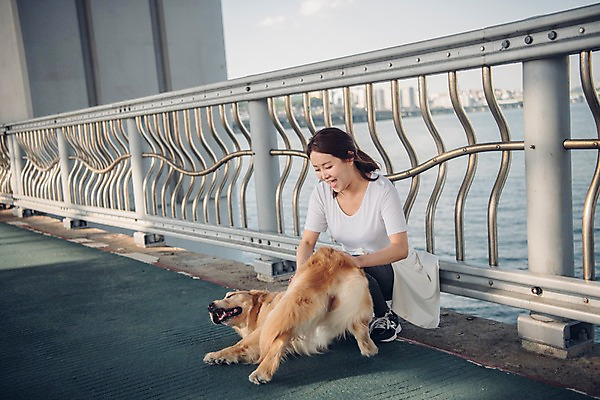 포토 JPG 주간 전신 한마리 여자 난간 휴식 한명 미소 사람 앉기 20대 성인 야외 앞모습 반려동물 강 만지기 한국인 골든리트리버 강아지 즐거움 웅크림 반려 성인여자한명만 펫팸족 국내포토 자연요소 동물 1 감정 뷰포인트 컨셉 모션 표정 동양인 청년 개 리트리버 신조어 여자한명만 성인여자만 파일형식