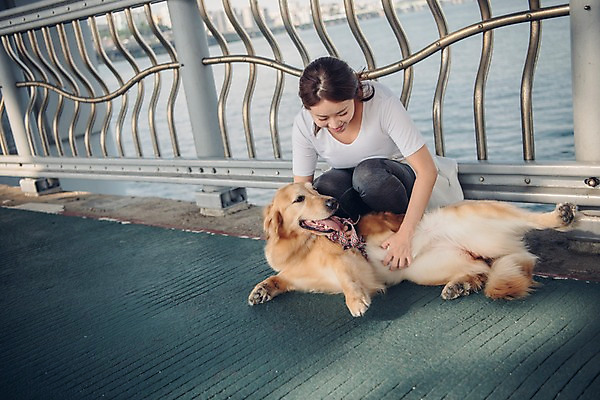 포토 JPG 주간 전신 한마리 여자 난간 한명 미소 사람 앉기 20대 성인 야외 앞모습 반려동물 강 만지기 한국인 골든리트리버 강아지 웅크림 반려 성인여자한명만 펫팸족 국내포토 자연요소 동물 1 뷰포인트 모션 표정 동양인 청년 개 리트리버 신조어 여자한명만 성인여자만 파일형식