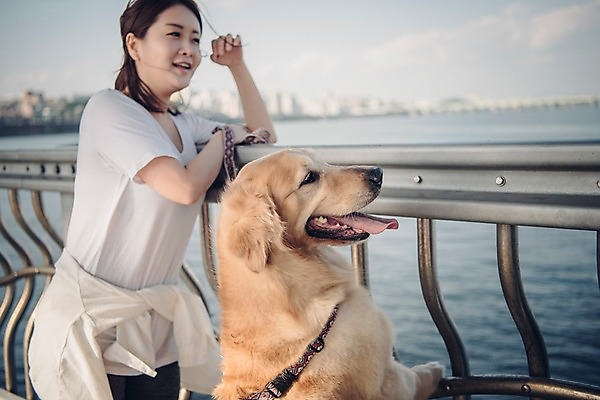 포토 JPG 주간 한마리 여자 난간 한명 미소 사람 상반신 20대 성인 야외 옆모습 반려동물 강 한국인 골든리트리버 강아지 반려 성인여자한명만 펫팸족 국내포토 자연요소 동물 1 뷰포인트 표정 동양인 청년 개 리트리버 신조어 여자한명만 성인여자만 파일형식