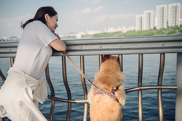 포토 JPG 주간 한마리 여자 난간 한명 미소 사람 상반신 20대 성인 야외 옆모습 반려동물 강 한국인 골든리트리버 강아지 목줄 반려 성인여자한명만 펫팸족 국내포토 자연요소 동물 1 뷰포인트 표정 동양인 청년 개 리트리버 신조어 여자한명만 성인여자만 파일형식 반려용품