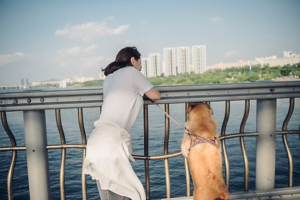 포토 JPG 주간 구름 한마리 여자 난간 하늘 한명 서기 사람 상반신 20대 성인 야외 옆모습 반려동물 강 한국인 골든리트리버 강아지 목줄 반려 성인여자한명만 펫팸족 국내포토 자연요소 동물 1 뷰포인트 모션 동양인 청년 개 리트리버 신조어 여자한명만 성인여자만 파일형식 반려용품