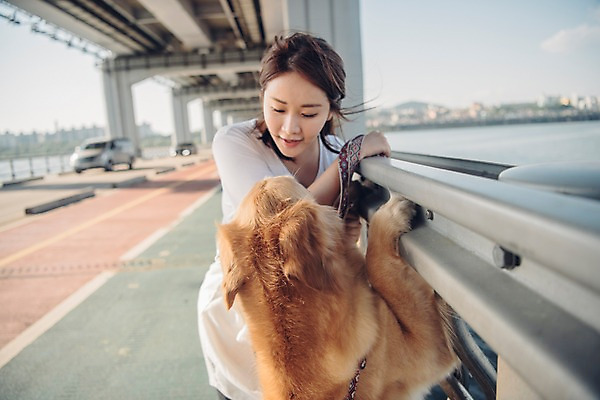 포토 JPG 주간 한마리 여자 난간 자동차 한명 사람 상반신 20대 성인 야외 앞모습 반려동물 강 마주보기 차도 한국인 잡기 골든리트리버 강아지 목줄 반려 성인여자한명만 펫팸족 국내포토 자연요소 동물 1 도로 육상교통 뷰포인트 모션 동양인 청년 개 리트리버 신조어 여자한명만 성인여자만 파일형식 반려용품