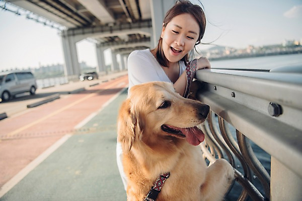 포토 JPG 주간 한마리 여자 난간 자동차 한명 미소 사람 상반신 20대 성인 야외 앞모습 반려동물 강 차도 한국인 잡기 골든리트리버 강아지 목줄 반려 성인여자한명만 펫팸족 국내포토 자연요소 동물 1 도로 육상교통 뷰포인트 모션 표정 동양인 청년 개 리트리버 신조어 여자한명만 성인여자만 파일형식 반려용품