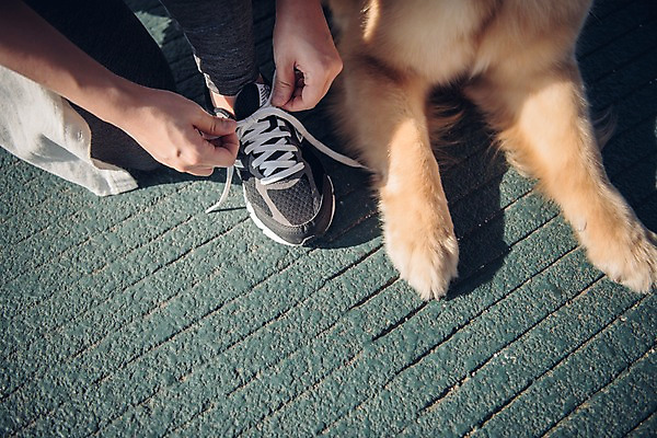 포토 JPG 주간 한마리 손 여자 한명 사람 근접촬영 20대 성인 야외 앞모습 신체부위 반려동물 운동 한국인 하반신 골든리트리버 강아지 개발 반려 신발끈묶기 성인여자한명만 펫팸족 국내포토 자연요소 동물 1 뷰포인트 건강 동양인 청년 개 리트리버 묶기 신조어 신발끈 여자한명만 성인여자만 파일형식