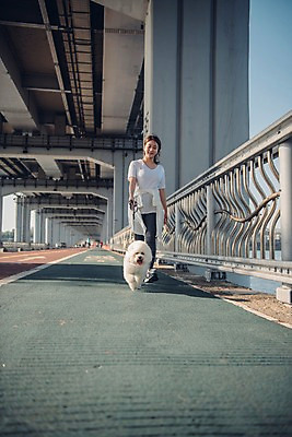포토 JPG 주간 전신 한마리 여자 난간 한명 사람 20대 성인 야외 앞모습 반려동물 운동 걷기 차도 한국인 강아지 목줄 반려 성인여자한명만 비숑프리제 펫팸족 국내포토 자연요소 동물 1 도로 뷰포인트 모션 건강 동양인 청년 개 신조어 여자한명만 성인여자만 파일형식 반려용품