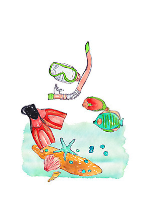 PSD 두마리 일러스트 조개 수채화 불가사리 어류 사람없음 여름 바닷속 소라 오리발 스킨스쿠버용품 국내일러스트 계절 스포츠용품 2 어패류 극피동물 수중 수중동물 파일형식