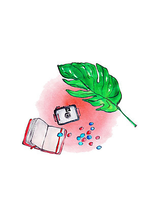 PSD 일러스트 수채화 사람없음 여름 카메라 초콜릿 다이어리 열대잎 국내일러스트 계절 잎 디저트 전자제품 사무용품 파일형식