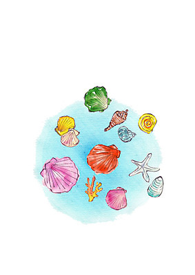 PSD 일러스트 조개 수채화 불가사리 사람없음 여름 다양 산호초 소라 국내일러스트 계절 다수 어패류 극피동물 수중식물 파일형식