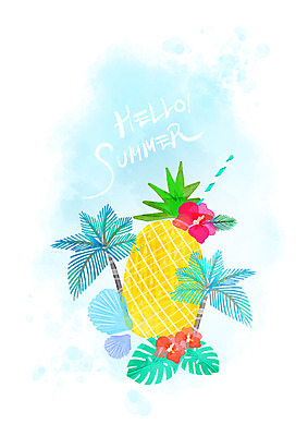 PSD 일러스트 조개 나뭇잎 수채화 빨대 사람없음 장식 여름 야자수 파인애플 열대꽃 국내일러스트 나무 계절 꽃 잎 과일 어패류 열대과일 파일형식