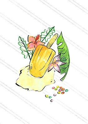 PSD 꽃잎 일러스트 나뭇잎 아이스크림 수채화 사람없음 여름 초콜릿 막대아이스크림 열대꽃 열대잎 국내일러스트 녹이기 계절 꽃 잎 모션 디저트 파일형식