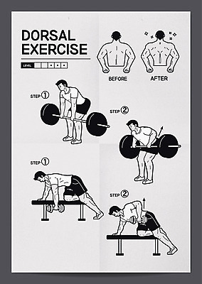 전신 포스터 일러스트 서기 들기 여러명 상반신 성인 운동 헬스 아령 역기 웨이트트레이닝 근력 등근육 등운동 방법 매뉴얼 로우덤벨 로우바벨 국내일러스트 AI파일 다수 모션 근육 건강 사람 파일형식 벡터 운동자세