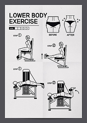 전신 포스터 일러스트 여러명 성인 운동 헬스 하반신 웨이트트레이닝 근력 레그익스텐션 레그컬 방법 하체운동 힙업운동 매뉴얼 국내일러스트 AI파일 다수 건강 사람 파일형식 벡터
