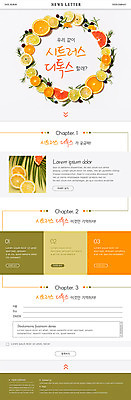 PSD 템플릿 ZIP 웹템플릿 과일 귤 건강 사람없음 세트 뉴스레터 디톡스 이미지템플릿 파일형식