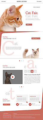 PSD 템플릿 ZIP 웹템플릿 세마리 사람없음 반려동물 세트 고양이 뉴스레터 동영상 반려 페어 이미지템플릿 동물 포유류 3 박람회 파일형식