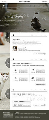 PSD 템플릿 ZIP 웹템플릿 거리 세마리 사람없음 반려동물 세트 고양이 뉴스레터 길고양이 반려 이미지템플릿 동물 포유류 3 파일형식