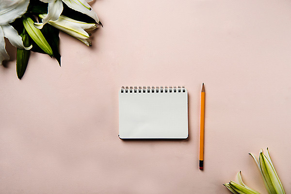 포토 JPG 스튜디오촬영 식물 꽃 스튜디오 프레임 실내 사람없음 연필 공책 백합 국내포토 문구용품 학용품 내부 필기구 파일형식