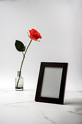 포토 JPG 스튜디오촬영 식물 꽃 액자 스튜디오 실내 사람없음 아웃포커스 장미 헤라장미 국내포토 촬영기법 내부 파일형식