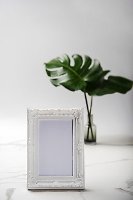 포토 JPG 스튜디오촬영 식물 액자 스튜디오 실내 사람없음 아웃포커스 열대식물 몬스테라 국내포토 촬영기법 내부 파일형식