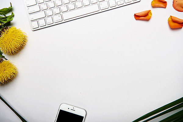 포토 JPG 스튜디오촬영 식물 꽃잎 꽃 스튜디오 프레임 실내 사람없음 스마트폰 장미 키보드 센토리아 국내포토 내부 핸드폰 스마트기기 파일형식