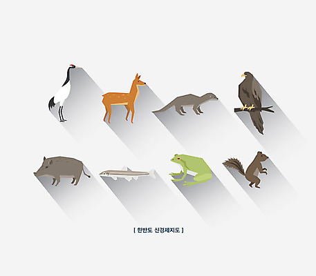 아이콘 야생동물 여러마리 사람없음 평화 사회이슈 청개구리 독수리 멧돼지 노루 수달 청설모 신경제지도 가는돌고기 2D아이콘 AI파일 동물 다수 컨셉 포유류 조류 개구리 어류 파일형식 벡터