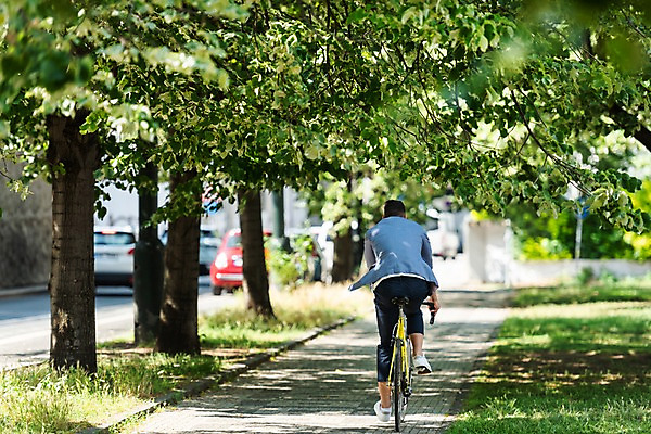 포토 JPG 주간 전신 서양인 나무 공원 남자 도로 자동차 한명 사람 잔디 20대 성인 야외 뒷모습 자전거 산책로 보행로 승차 프라하 성인남자한명만 국내포토 자연요소 외국인 식물 1 공공시설 길 육상교통 뷰포인트 교통시설 모션 청년 바이크 체코 남자한명만 성인남자만 파일형식