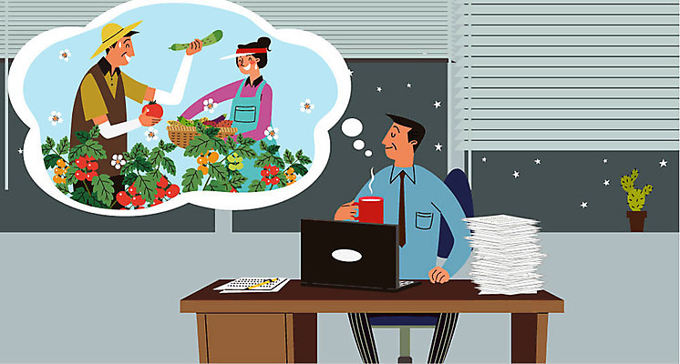 부부 여자 남자 별 화분 커피 토마토 채소 일러스트 선인장 미소 사람 상반신 성인 세명 노트북 농장 바구니 농사 수확 시골 블라인드 창가 책상 즐거움 귀농 야근 전원생활 서류더미 국내일러스트 AI파일 자연요소 식물 커플 감정 음료 가구 농업 비즈니스 창문 표정 생활 전자제품 업무 커튼 문서 파일형식 벡터 더미