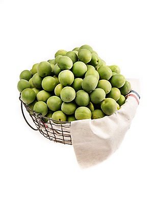 포토 JPG 스튜디오촬영 계절 열매 과일 실내 누끼 사람없음 바구니 여러개 신선 천 매실 국내포토 식물 다수 내부 직물 파일형식