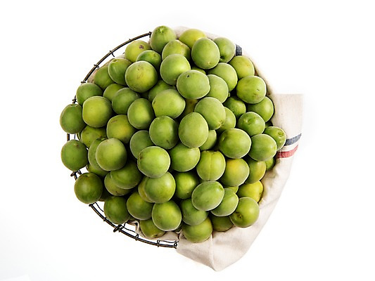 포토 JPG 스튜디오촬영 계절 열매 과일 실내 누끼 사람없음 하이앵글 바구니 여러개 신선 천 매실 국내포토 식물 뷰포인트 다수 내부 직물 파일형식