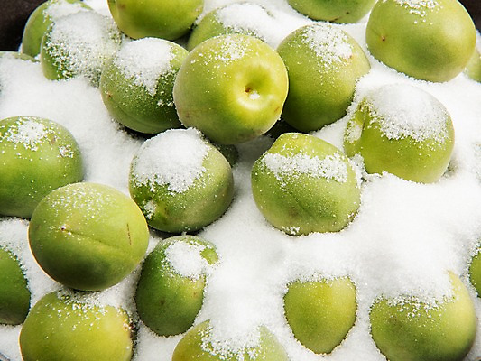 포토 JPG 스튜디오촬영 계절 열매 과일 실내 누끼 근접촬영 사람없음 여러개 신선 설탕 매실 국내포토 식물 뷰포인트 다수 내부 파일형식