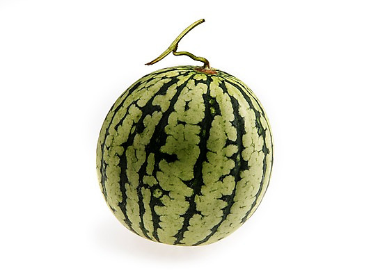 포토 JPG 스튜디오촬영 계절 과일 여름음식 수박 실내 누끼 사람없음 한개 신선 미니수박 제철음식 제철과일 과채 국내포토 1 음식 채소 내부 제철 파일형식 여름_계절