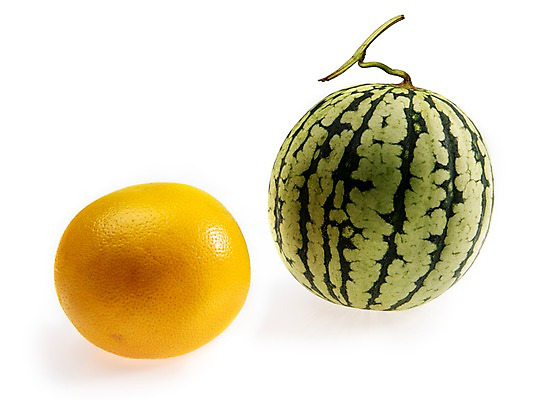 포토 JPG 스튜디오촬영 계절 과일 여름음식 수박 실내 누끼 사람없음 두개 신선 자몽 미니수박 제철음식 제철과일 과채 국내포토 음식 2 채소 내부 제철 파일형식 여름_계절