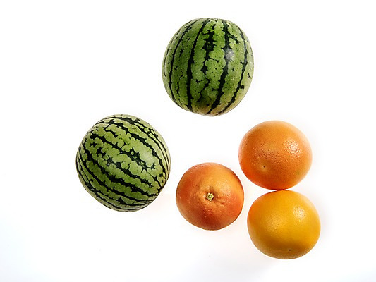 포토 JPG 스튜디오촬영 계절 과일 여름음식 수박 실내 누끼 사람없음 여러개 신선 자몽 미니수박 제철과일 과채 국내포토 음식 다수 채소 내부 제철 파일형식 여름_계절