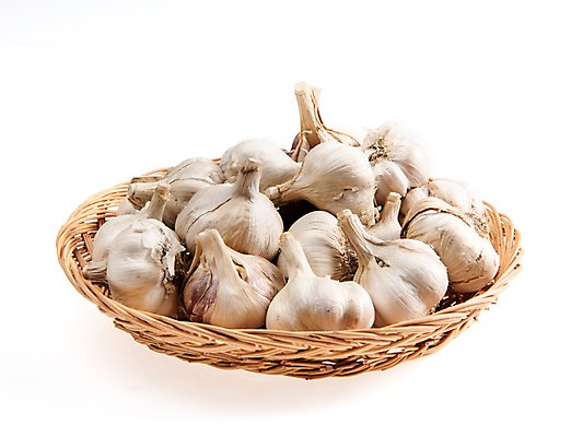 포토 JPG 스튜디오촬영 채소 실내 마늘 누끼 사람없음 바구니 여러개 통마늘 국내포토 다수 내부 파일형식