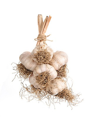 포토 JPG 스튜디오촬영 채소 실내 마늘 누끼 사람없음 여러개 묶기 뿌리 통마늘 국내포토 다수 모션 내부 파일형식