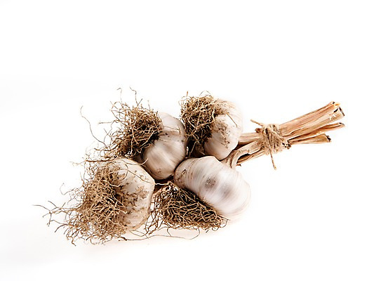 포토 JPG 스튜디오촬영 채소 실내 마늘 누끼 사람없음 여러개 묶기 뿌리 통마늘 국내포토 다수 모션 내부 파일형식