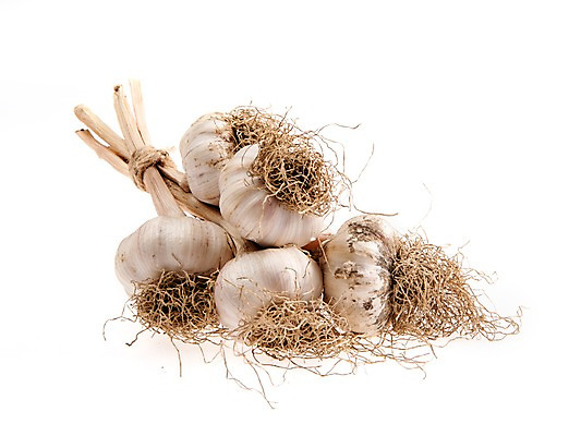 포토 JPG 스튜디오촬영 채소 실내 마늘 누끼 사람없음 여러개 묶기 뿌리 통마늘 국내포토 다수 모션 내부 파일형식