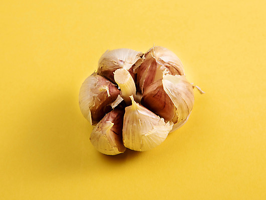 포토 JPG 스튜디오촬영 채소 실내 마늘 사람없음 한개 심 국내포토 1 내부 파일형식