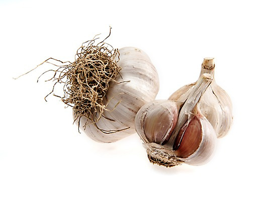 포토 JPG 스튜디오촬영 채소 단면 실내 마늘 누끼 사람없음 껍질 세개 뿌리 국내포토 3 내부 파일형식