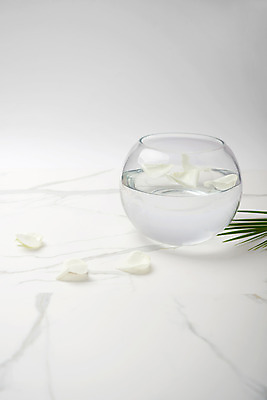 포토 JPG 스튜디오촬영 꽃잎 나뭇잎 실내 사람없음 장식 물 화장품 어항 오브젝트 대리석 국내포토 자연요소 꽃 잎 재료 내부 뷰티 파일형식