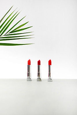 포토 JPG 스튜디오촬영 나뭇잎 실내 사람없음 장식 빨간색 화장품 립스틱 세개 오브젝트 열대잎 국내포토 컬러 잎 3 내부 뷰티 파일형식
