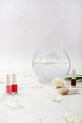 포토 JPG 스튜디오촬영 꽃잎 나뭇잎 실내 사람없음 장식 컬러풀 화장품 어항 오브젝트 매니큐어 대리석 국내포토 꽃 컬러 잎 재료 내부 뷰티 파일형식