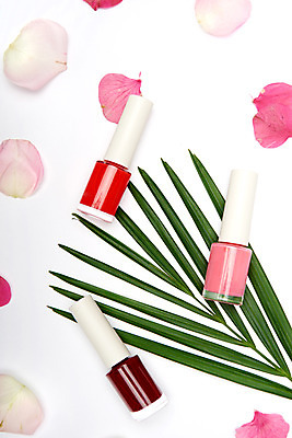 포토 JPG 스튜디오촬영 꽃잎 실내 사람없음 장식 여러개 화장품 오브젝트 매니큐어 열대잎 국내포토 꽃 다수 잎 내부 뷰티 파일형식