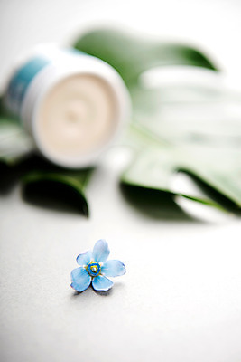 포토 JPG 스튜디오촬영 꽃잎 실내 사람없음 아웃포커스 장식 파란색 화장품 크림 오브젝트 열대잎 국내포토 꽃 컬러 잎 촬영기법 내부 뷰티 파일형식