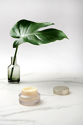 포토 JPG 스튜디오촬영 실내 사람없음 장식 꽃병 화장품 뚜껑 크림 오브젝트 대리석 몬스테라 열대잎 국내포토 식물 꽃 잎 재료 내부 뷰티 파일형식