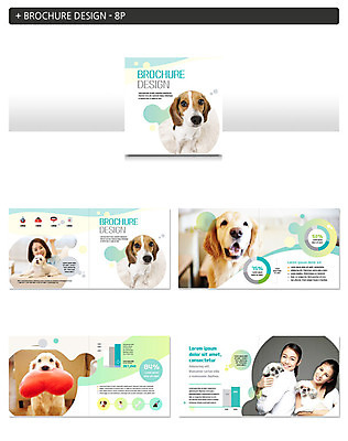 템플릿 응시 여자 행복 ZIP 반려견 엎드리기 여러마리 안기 그래프 사랑 미소 사람 동양인 팜플렛 상반신 20대 성인 세명 30대 반려동물 한국인 골든리트리버 강아지 시츄 비글 하트쿠션 반려 성인여자만 인디자인 INDD 이미지템플릿 동물 시선 감정 다수 쿠션 모션 표정 인종 청년 장년 하트 개 리트리버 여자만 성인만 파일형식