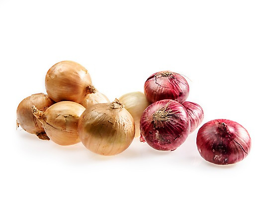 포토 JPG 스튜디오촬영 채소 스튜디오 양파 실내 누끼 사람없음 여러개 적양파 국내포토 다수 내부 파일형식